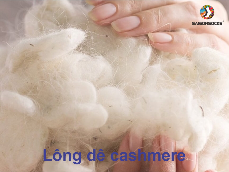 vớ cashmere là gì