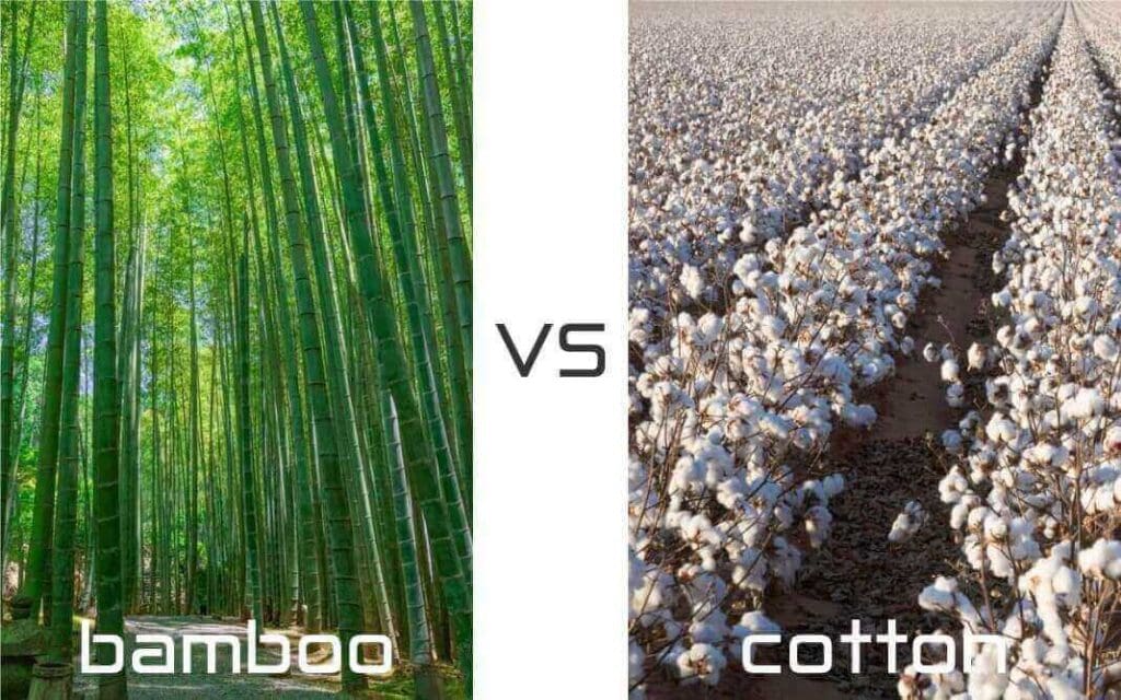 so sánh sự khác biệt giữa sợi bamboo và sợi cotton