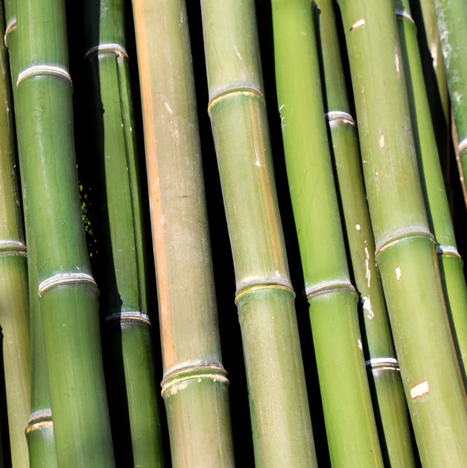 tất vớ Bamboo (sợi tre)